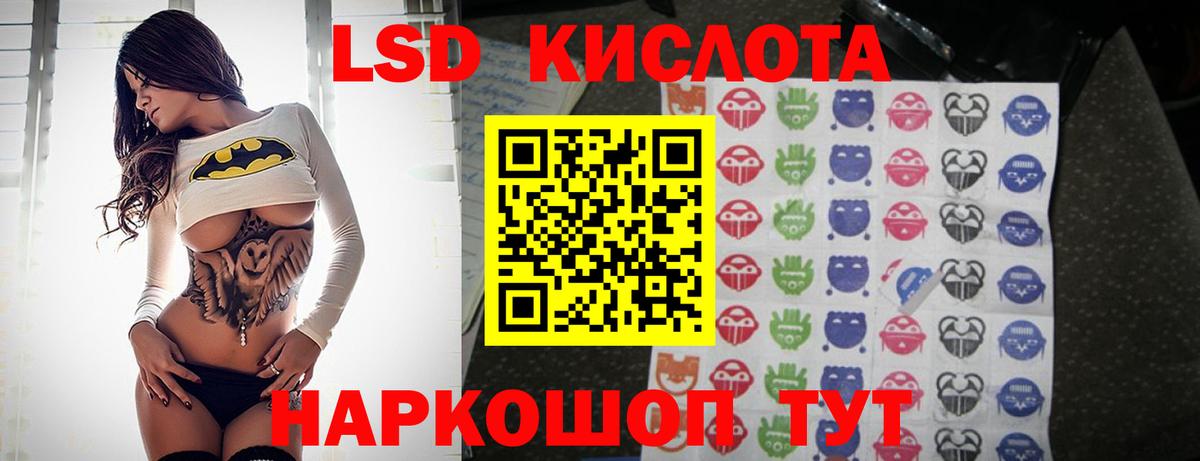 A PVP Надым