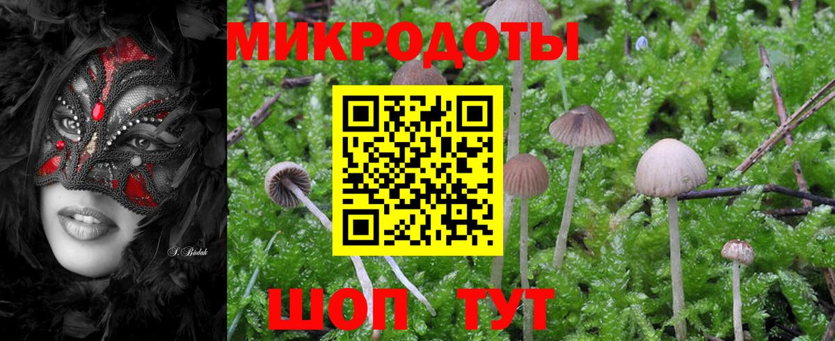 Надым  Псилоцибиновые грибы мухоморы  Вход с VPN 